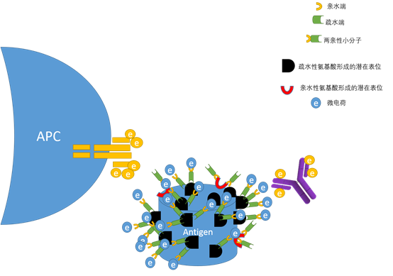 納米乳化技術, 多克隆抗體制備 納米乳化技術, 多克隆抗體制備