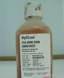 Hyclone, 澳洲胎牛血清, 胎牛血清, Gibco, Invitrogen Hyclone, 澳洲胎牛血清, 胎牛血清, Gibco, Invitrogen