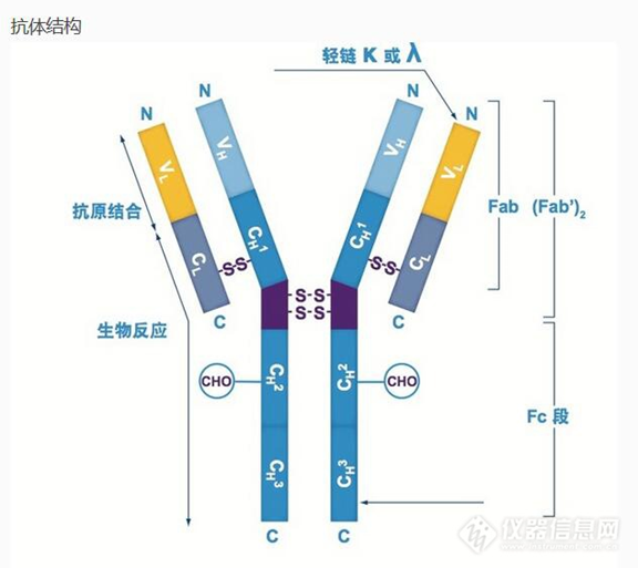 Goat Anti rabbit IgG-HRP antibody 山羊抗兔IgG抗体, HRP抗体